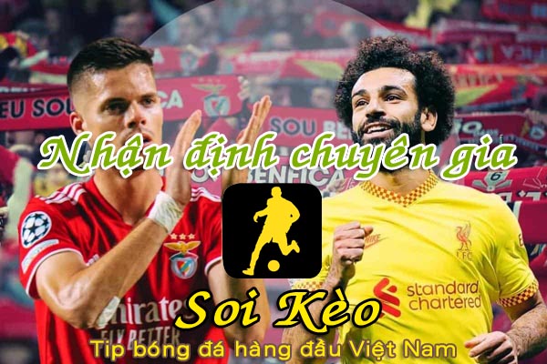Nhận định Soi Kèo Liverpool vs Benfica: Kết quả an bài