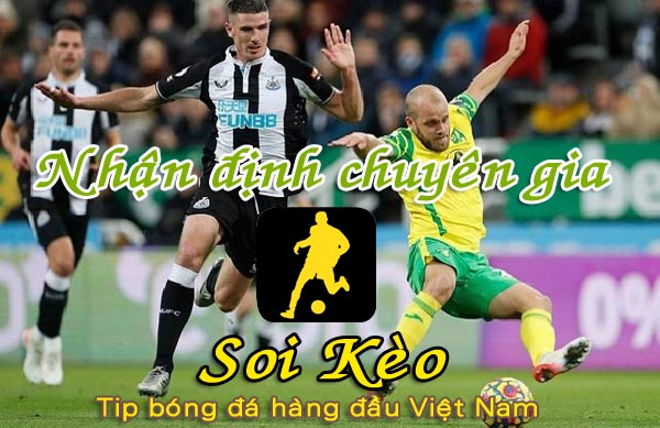 Nhận định Soi Kèo Norwich vs Newcastle: Chiến đầu vì danh dự