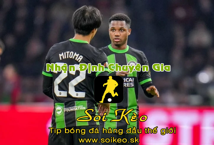 Soi Kèo tip bóng đá Brighton - Sheffield United