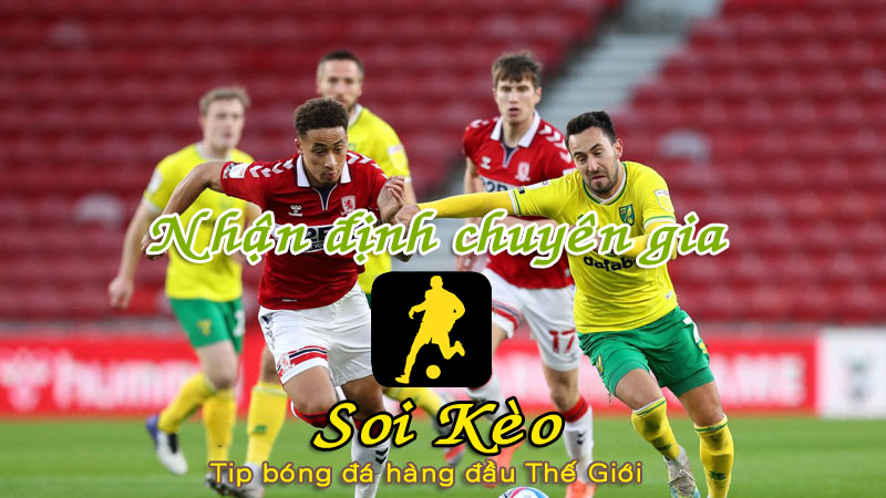 Soi Kèo Middlesbrough - Norwich