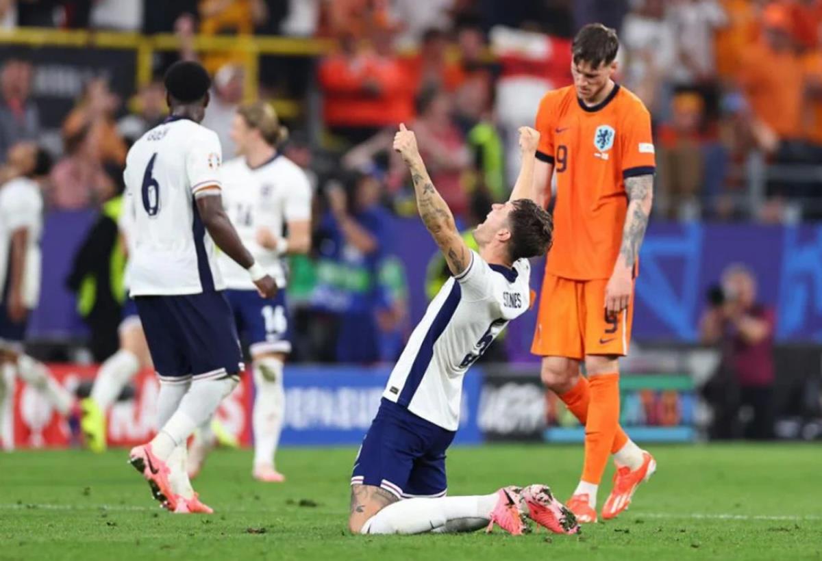 Bò tót và Sư tử tranh ngôi vương