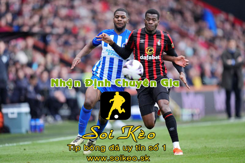 Soi Kèo Brighton - Bournemouth